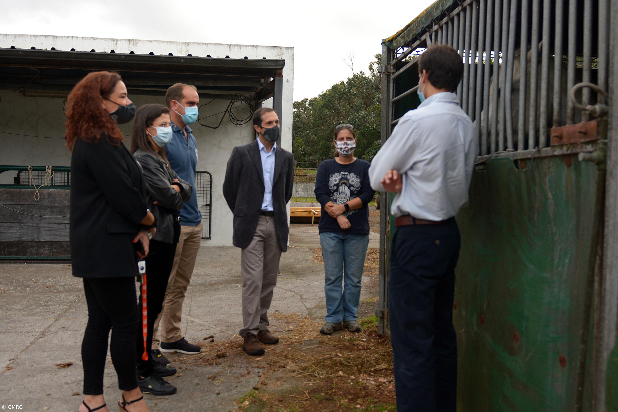 Câmara da Ribeira Grande mantém parceria com Associação Equestre de São Miguel – Imagem 3