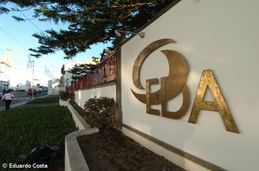 EDA justica abate de árvores em propriedade privada – Imagem 1