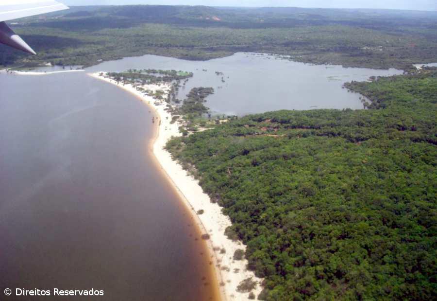 Brasil confirma circulação na Amazónia de nova estirpe detetada no Japão – Imagem 1