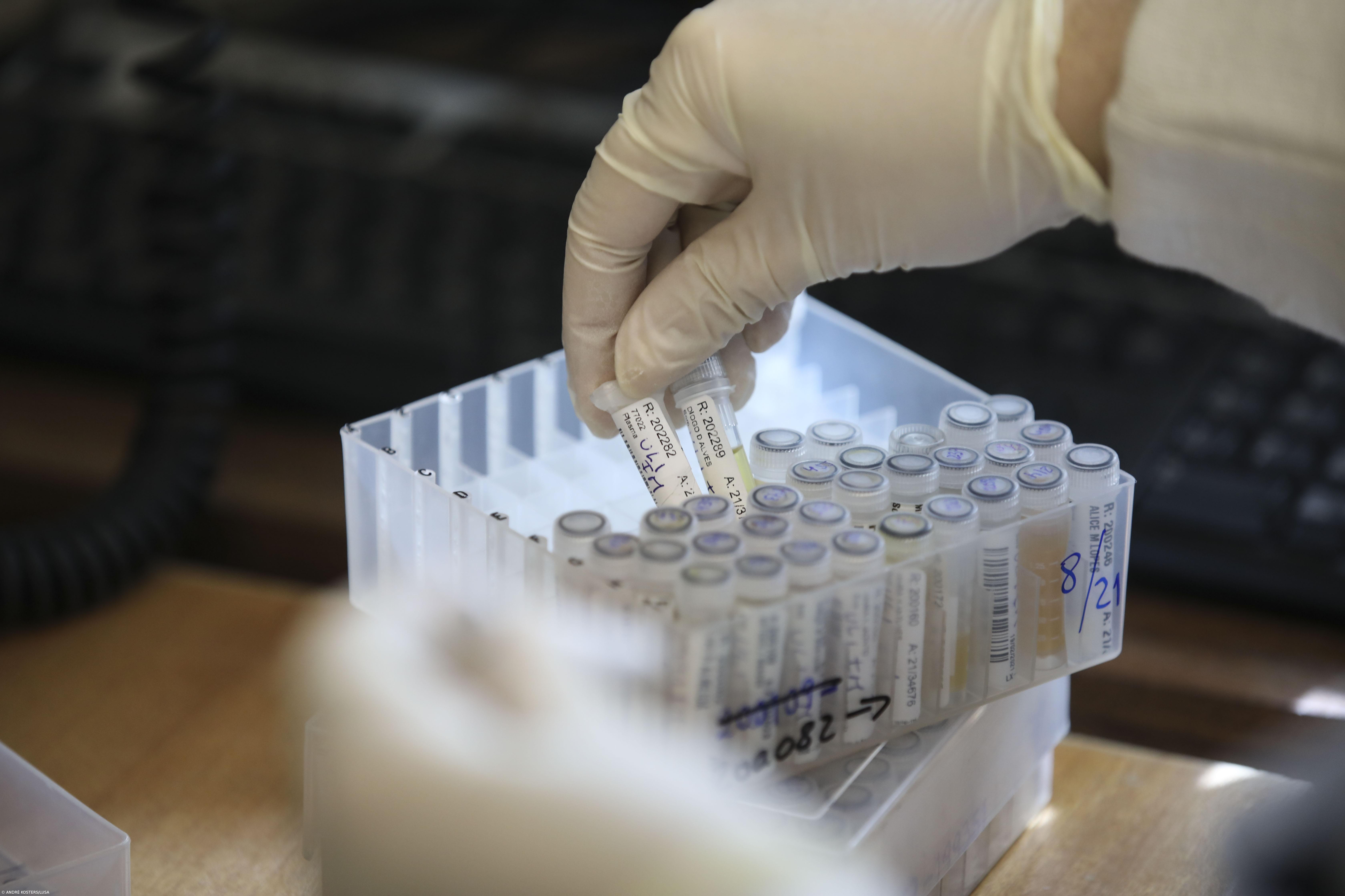 Instituto Ricardo Jorge atento ao vírus da síndrome respiratória do Médio Oriente – Imagem 1