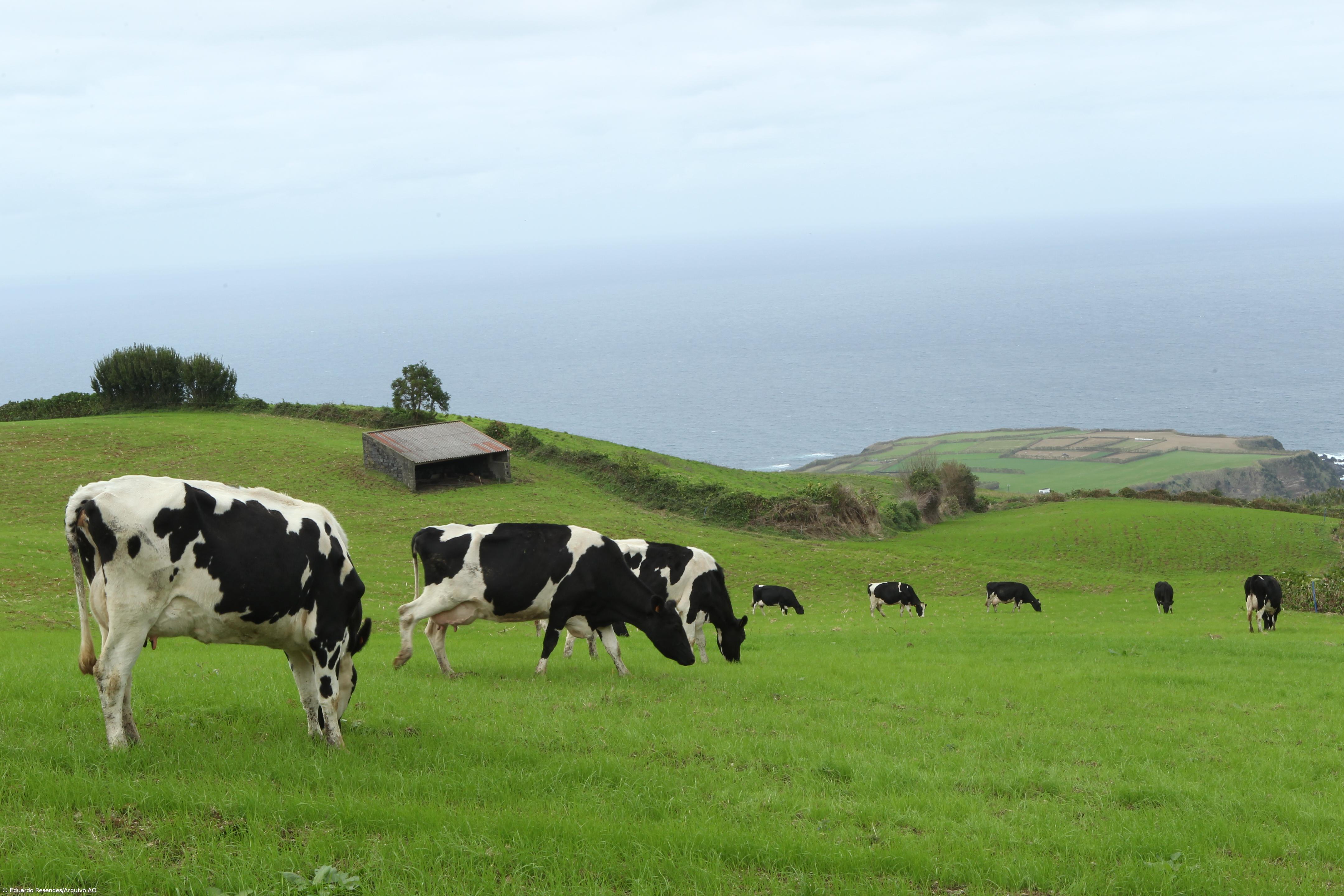 Agricultores com apoio para aquisição de sementes de milho e sorgo até 2,7 ME – Imagem 1