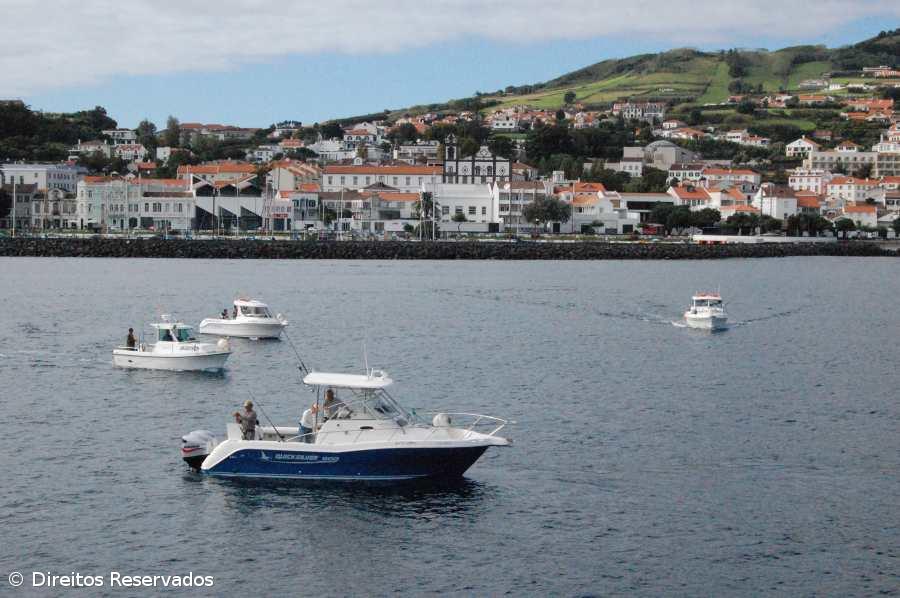 Ilha do Faial vai receber uma das maiores coleções europeias de orquídeas  – Imagem 1