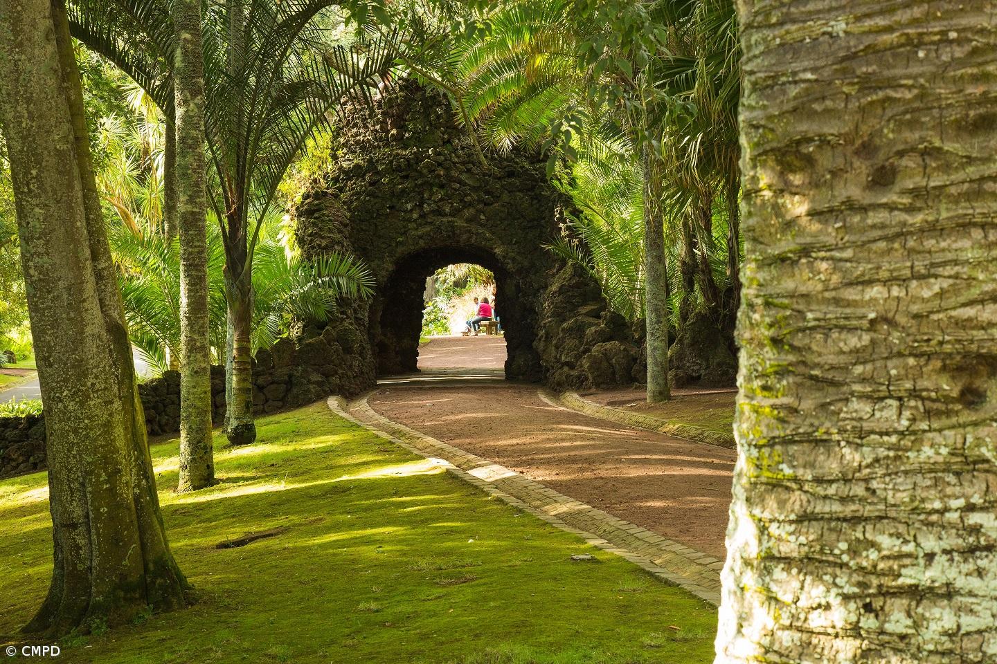Lançamento do livro "Jardim António Borges - Um Património Singular de Ponta Delgada” – Imagem 1