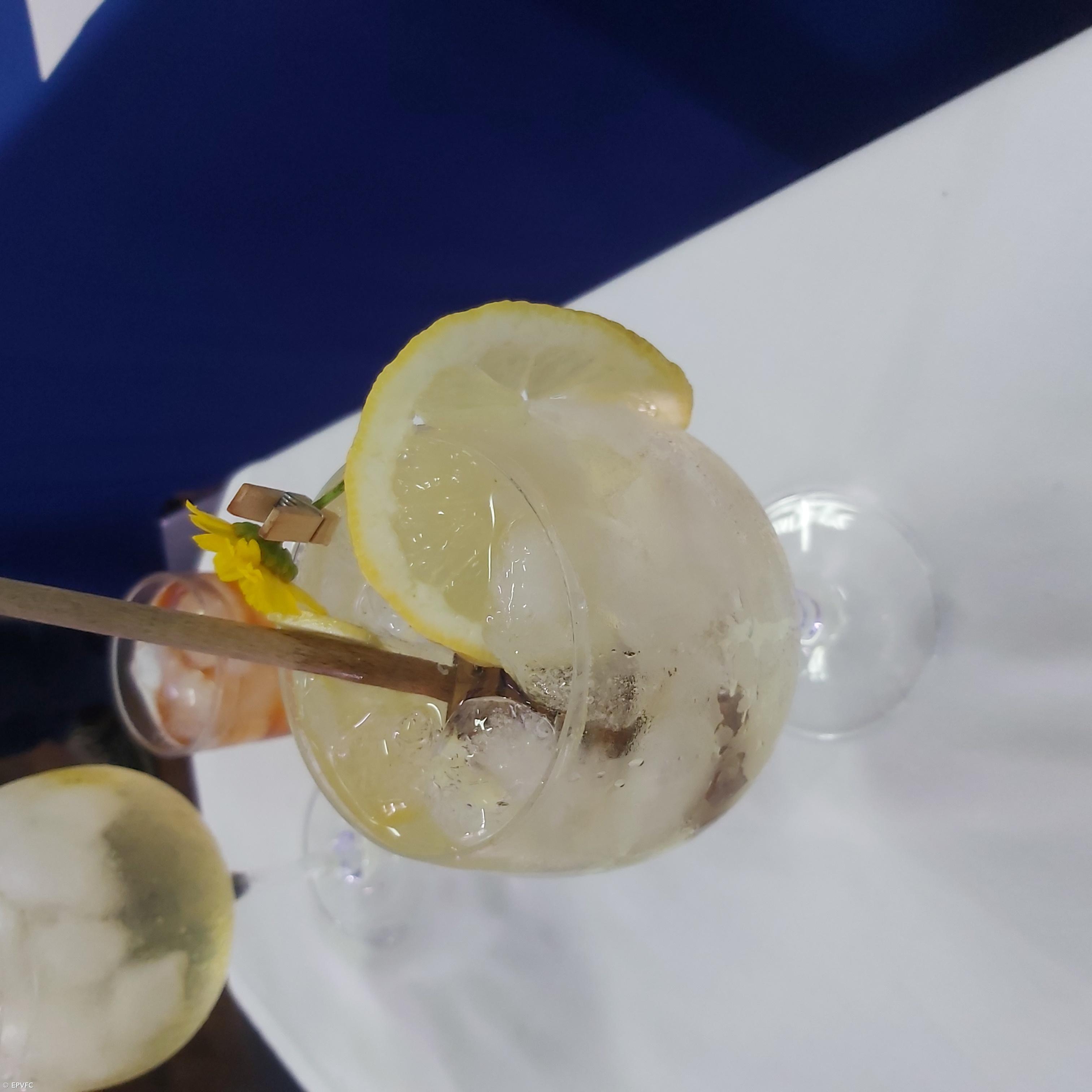 Curso Técnico de Restaurante/Bar – Imagem 17