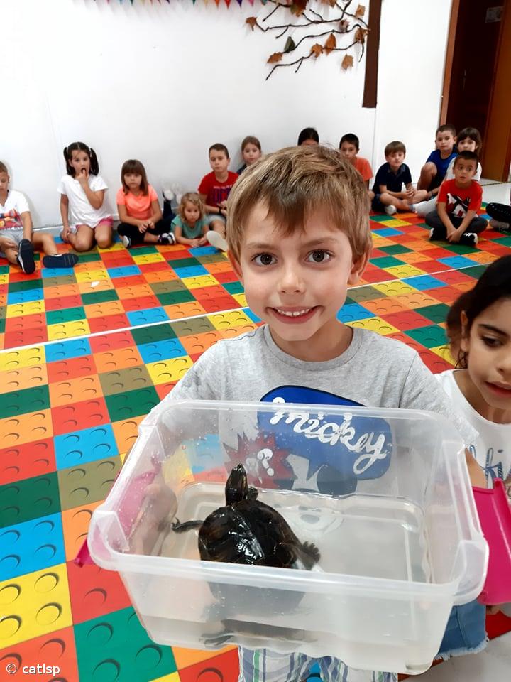 Atividades do Dia Mundial do Animal – Imagem 4