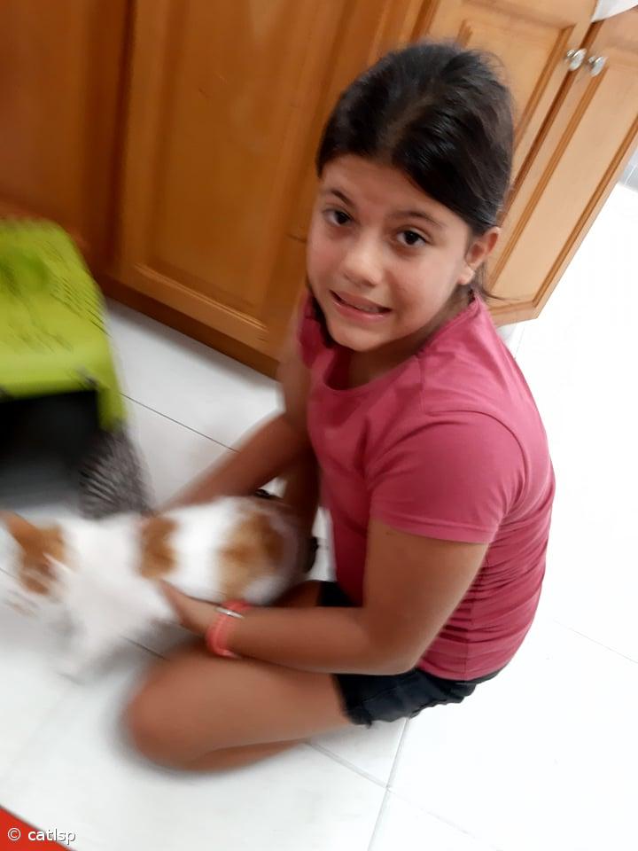 Atividades do Dia Mundial do Animal – Imagem 2