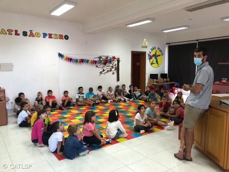 Recolha de Alimentos para Gato – Imagem 2