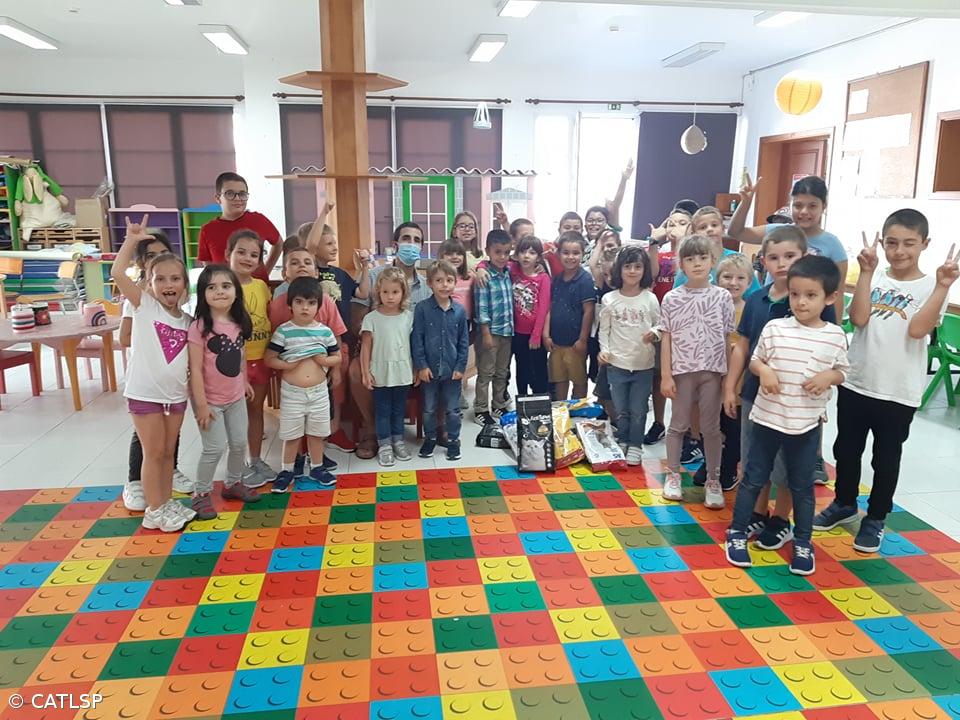 Recolha de Alimentos para Gato – Imagem 3