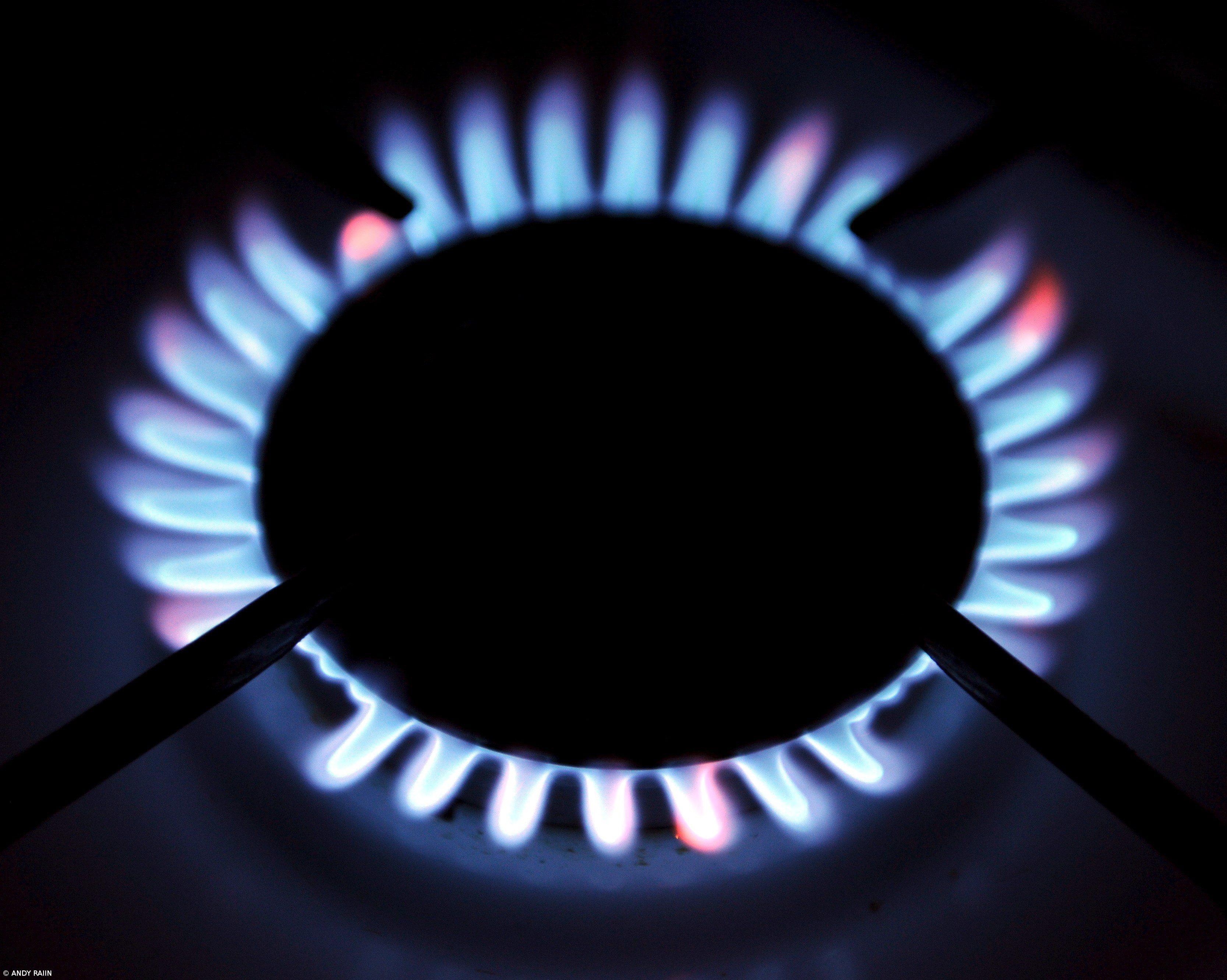  Aumento do preço do gás é "preocupante" para a indústria portuguesa  – Imagem 1