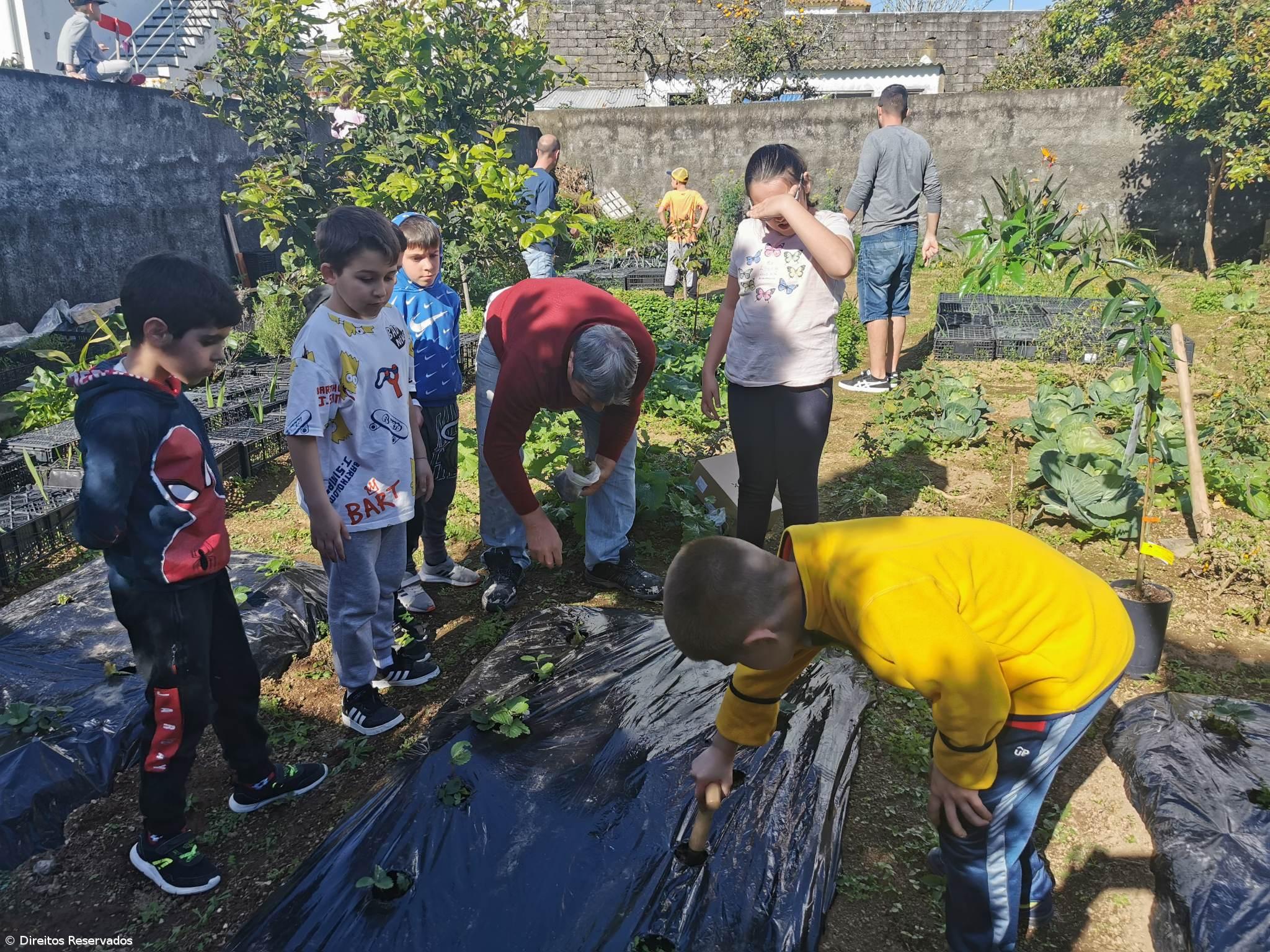 Centro festeja 25 anos ao serviço das famílias – Imagem 1