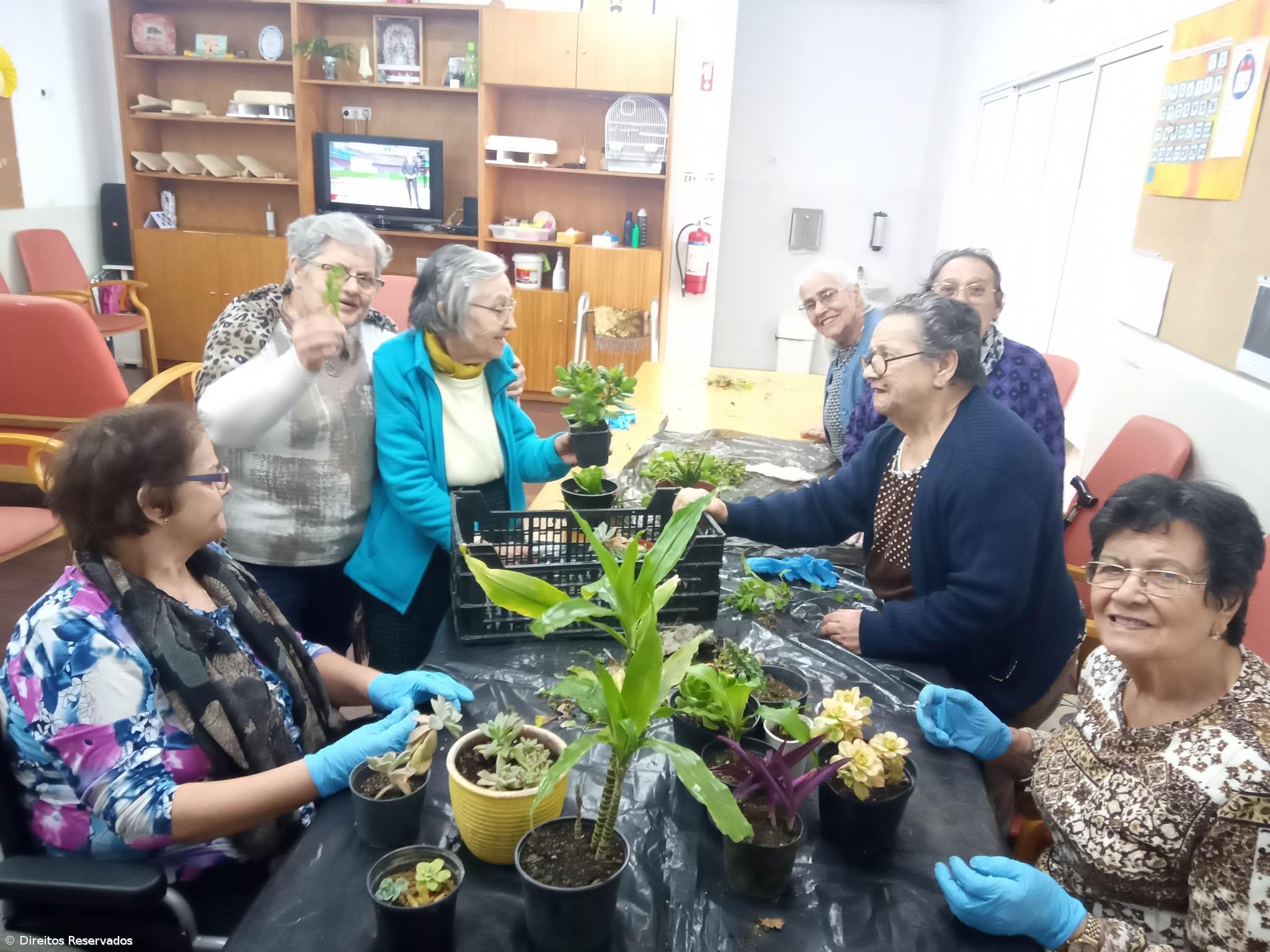 Centro festeja 25 anos ao serviço das famílias – Imagem 2