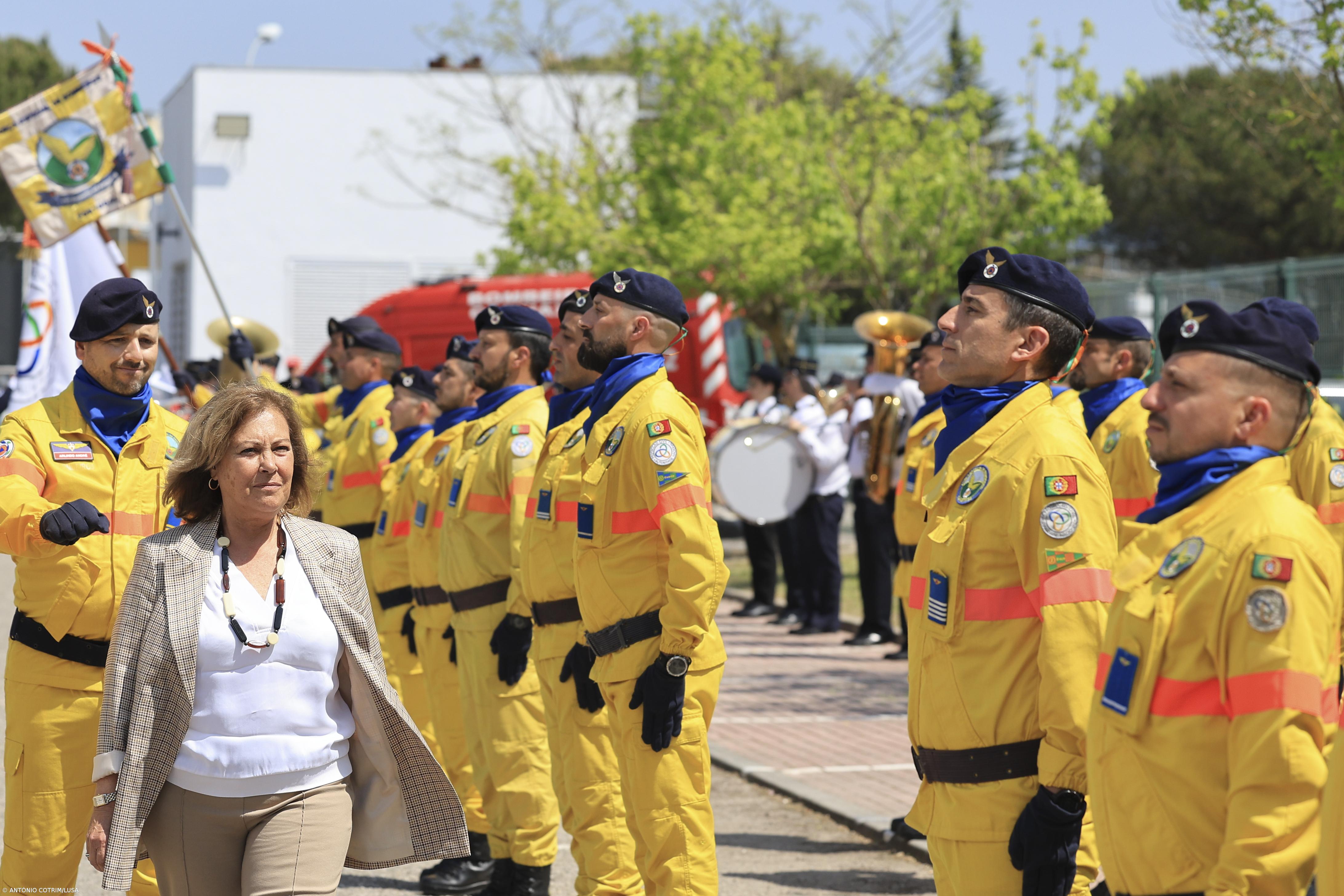 MAI apela à limpeza dos terrenos rurais – Imagem 1