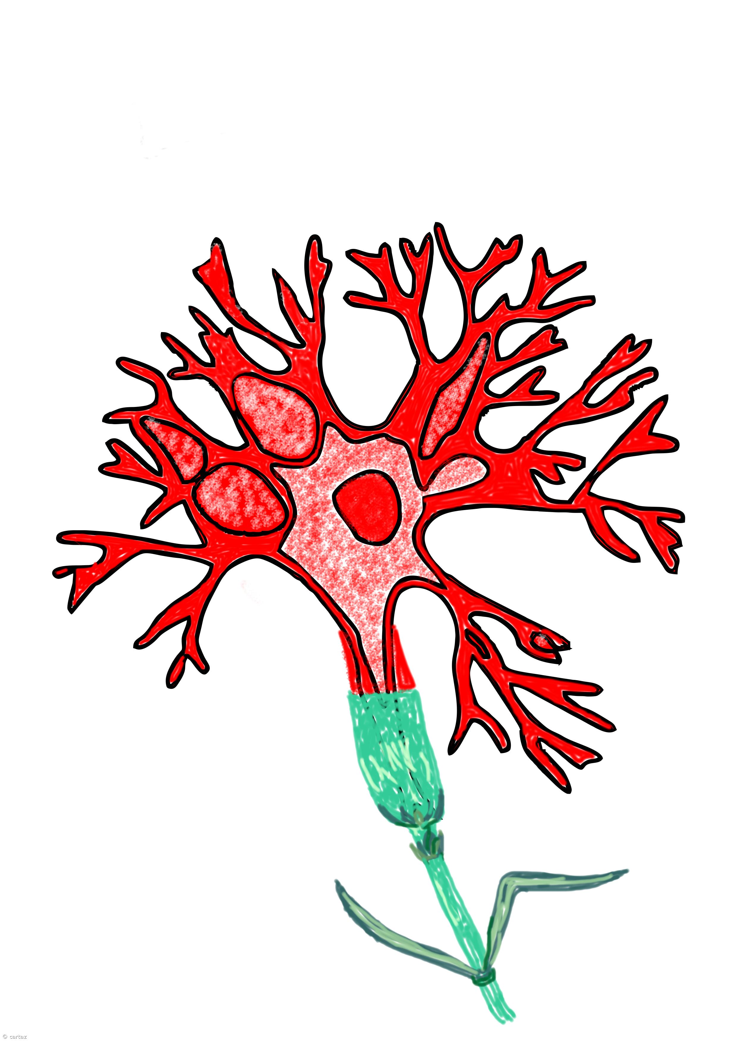 Mesas redondas e experiências na 1ª pessoa sobre alguns aspetos da vida antes de 1974 – Imagem 1