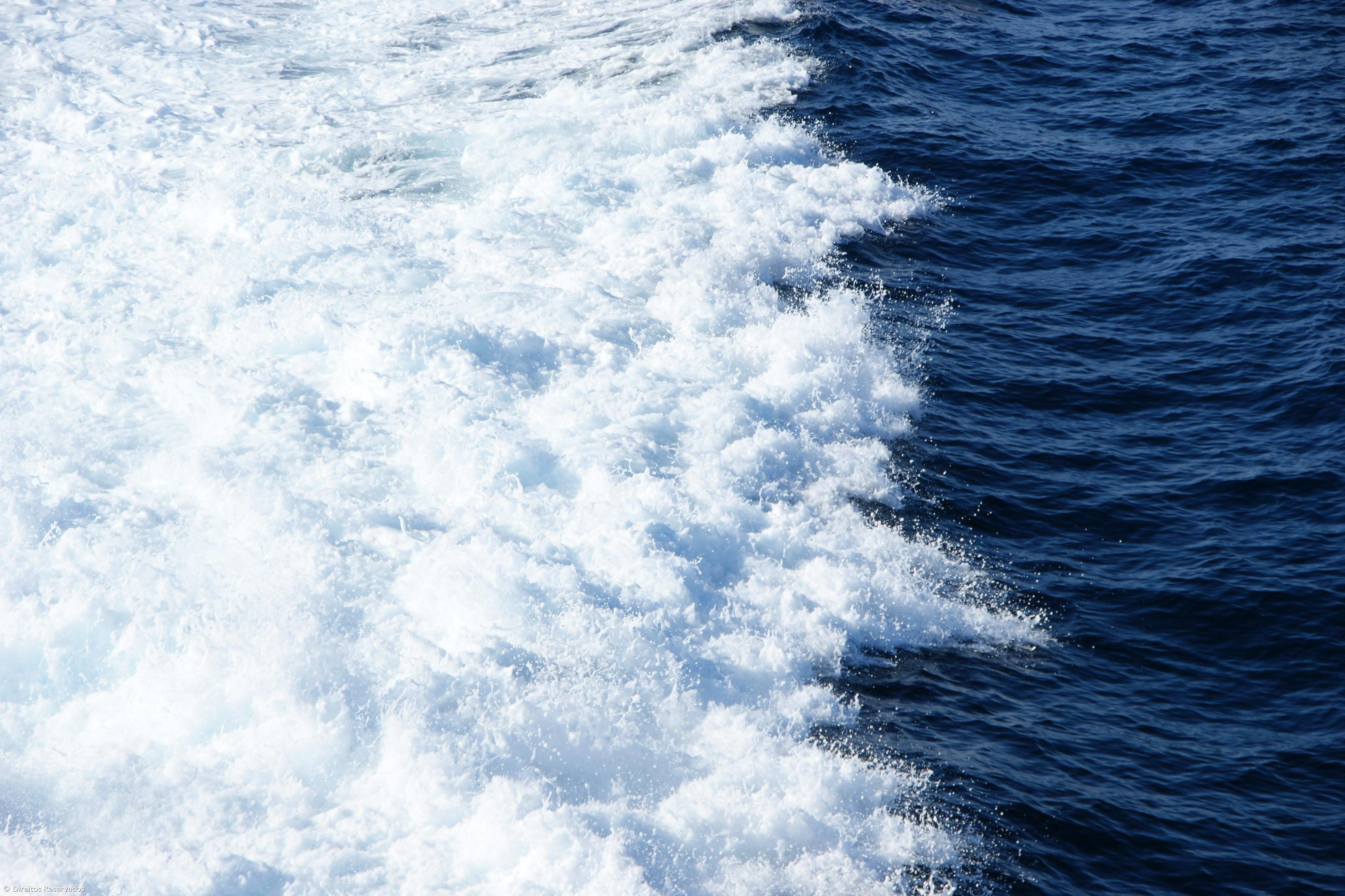 Investigador defende estudo para conhecer recursos marinhos – Imagem 1