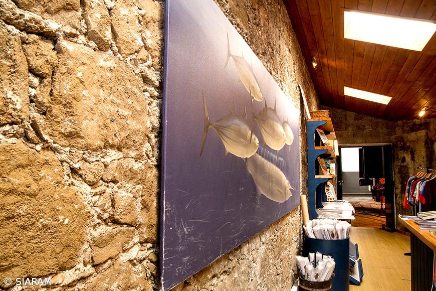 Programa educativo sobre o Mar já atingiu 125 mil alunos nos Açores – Imagem 1