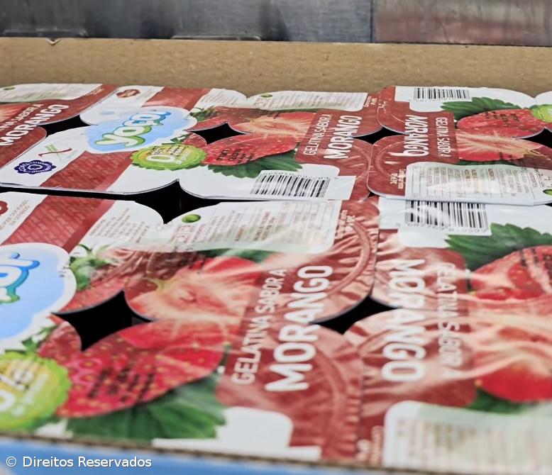 Do leite se faz e aos Açores sabe – Imagem 1