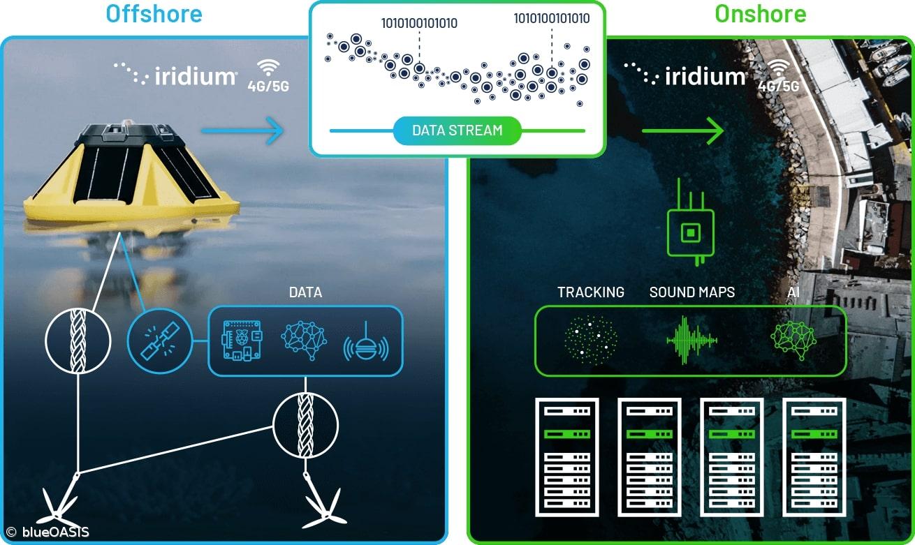 blueOASIS quer tornar os Açores no “Silicon Valley das tecnologias oceânicas” – Imagem 2
