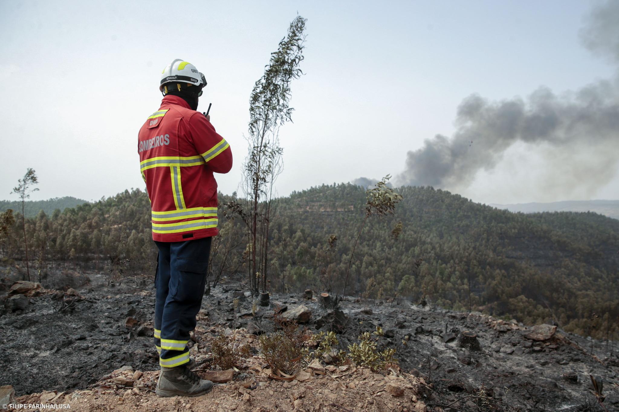Fogos de 2024 e 2025 revelaram “falhas de coordenação” – Imagem 1