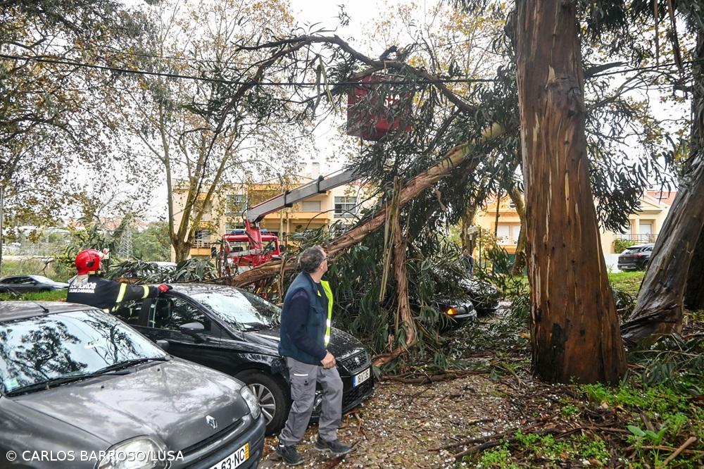 Mau tempo: Portugal continental regista 815 ocorrências até às 18:00 – Imagem 1