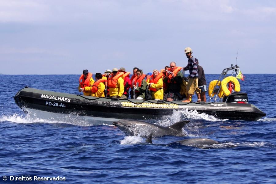 Empresários dos Açores avisam presidente do governo que salários "nunca foram tão elevados" – Imagem 1