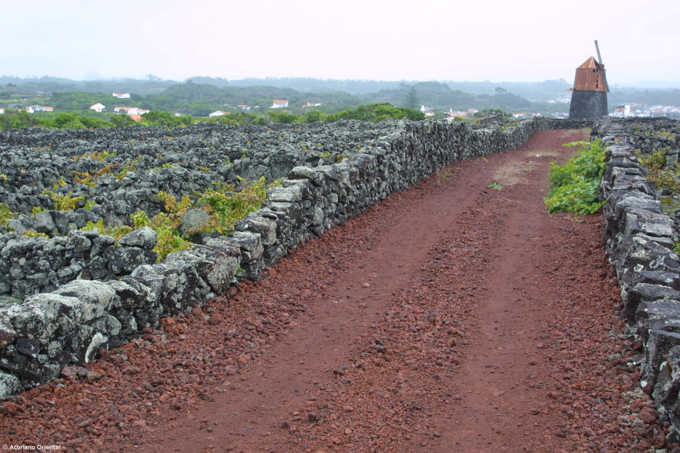 Turismo rural dos Açores sem camas disponíveis em "muitas unidades" – Imagem 1