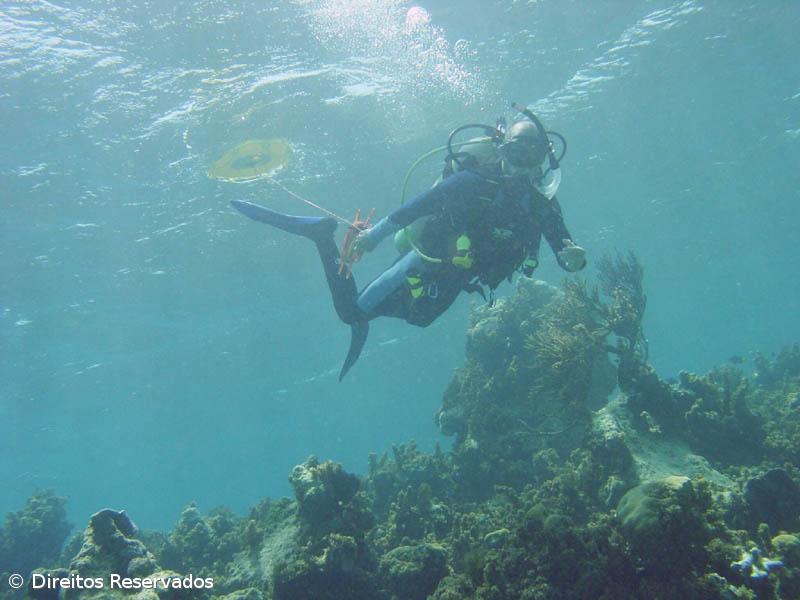 Portugueses conhecem hoje resultados dos World Travel Awards – Imagem 1