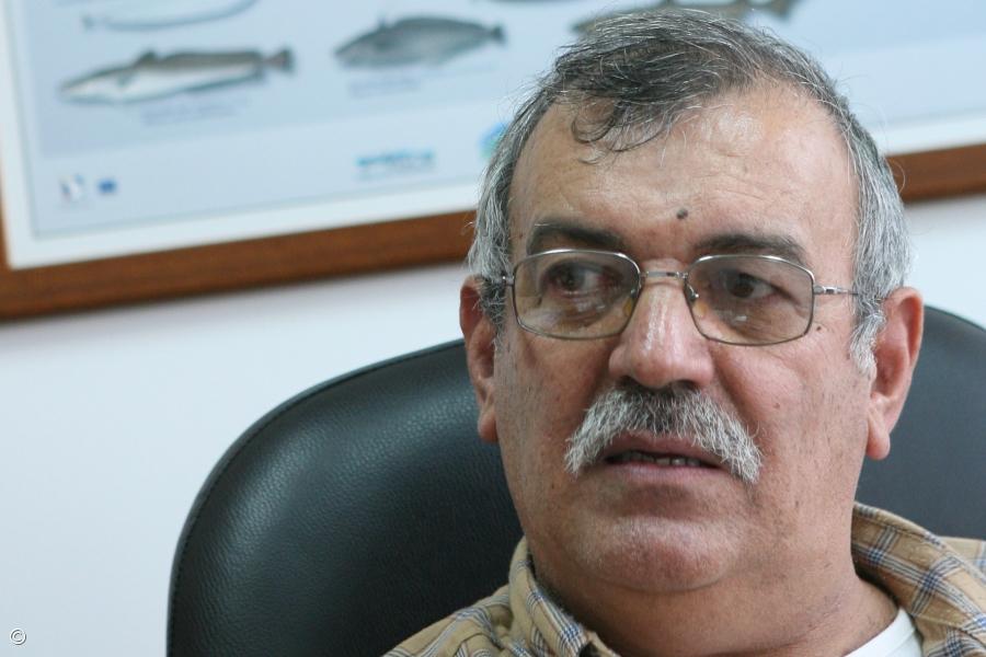 Pescadores dos Açores querem processar Estado por falta de fiscalização da zona marítima – Imagem 1