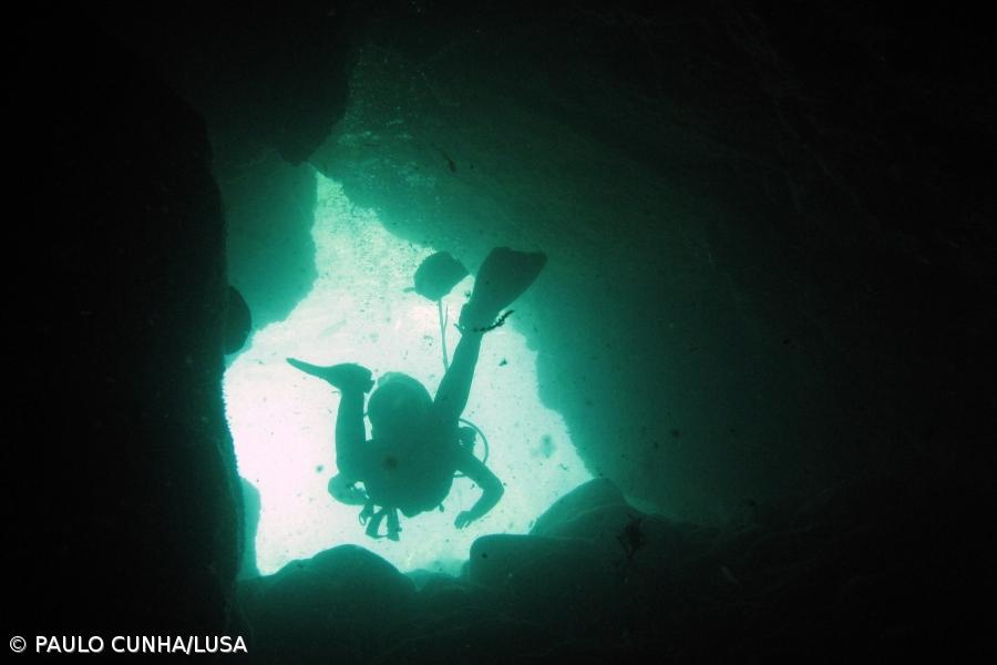 Operadores querem ambiente marinho na certificação do destino turístico dos Açores  – Imagem 1