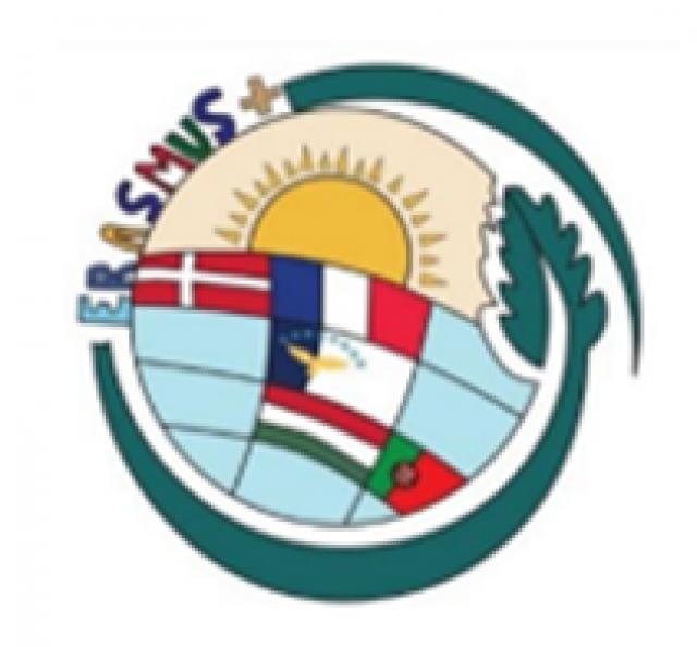 Testemunhos de alunos sobre a sua experiência ERASMUS (na Dinamarca e Hungria)