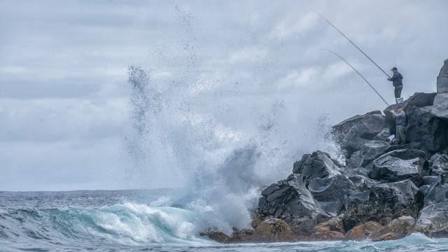 Açores criam Autoridade de Gestão para Rede de Áreas Marinhas Protegidas