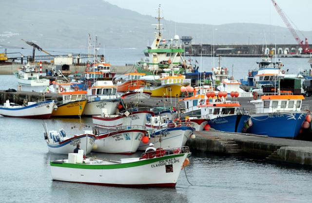 Pesca do tamboril proibida a partir de segunda-feira