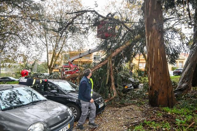 Mau tempo: Portugal continental regista 815 ocorrências até às 18:00